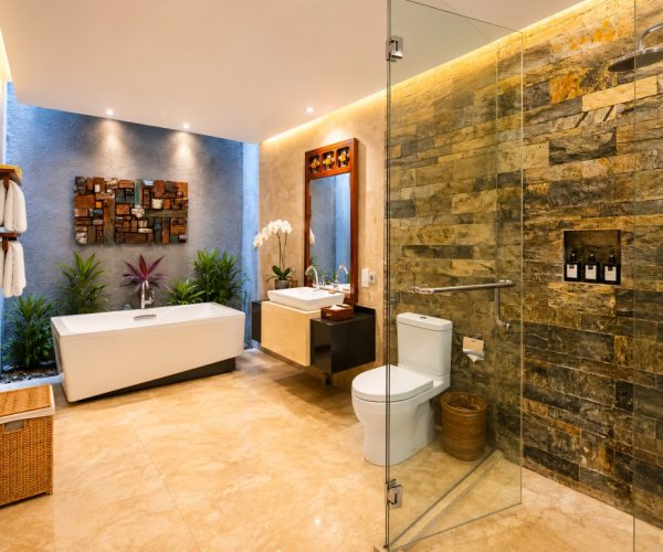 2BRV_Bathroom (1)